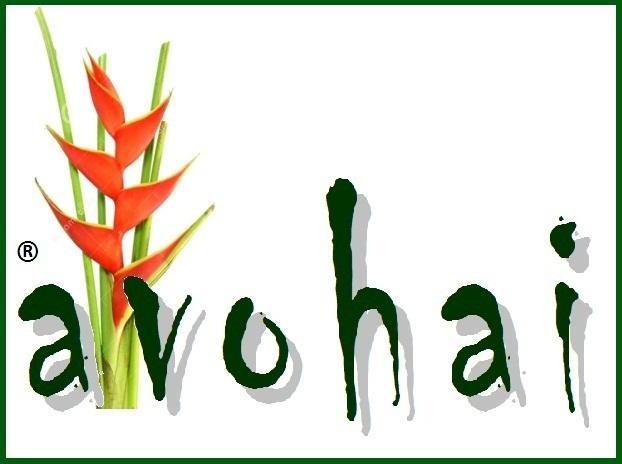Avohai Casa de hóspedes