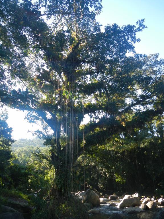 Casa de hóspedes Avohai